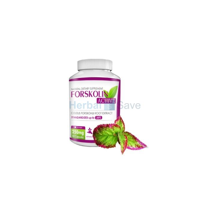 Forskolin active ➱ capsules minceur ➱ en latin