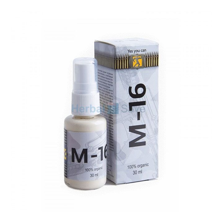 M-16 ➱ remedy for potency ➱ in Ninotsminda