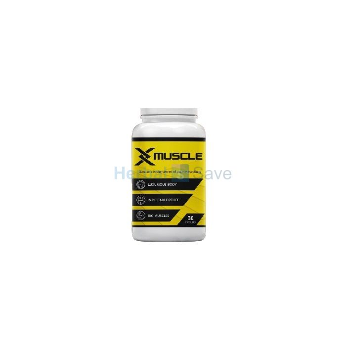 X-Muscle ➱ para construção muscular ➱ em sevilha