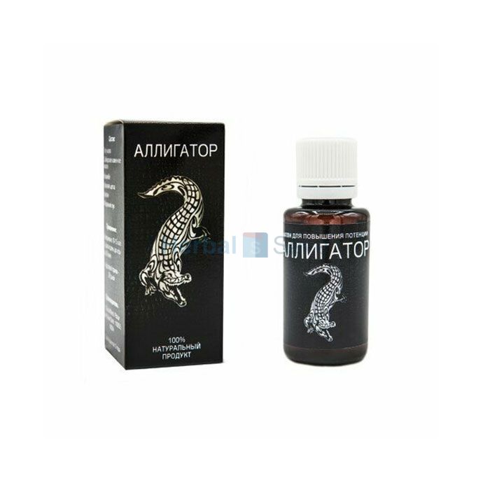 Alligator ➱ capsules for potency ➱ in Khashuri